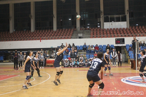 女排比赛现场