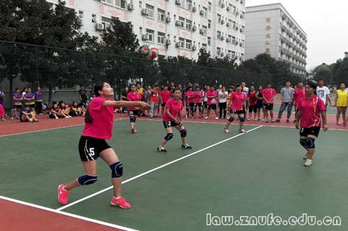 1.女排队奋力拼搏.JPG